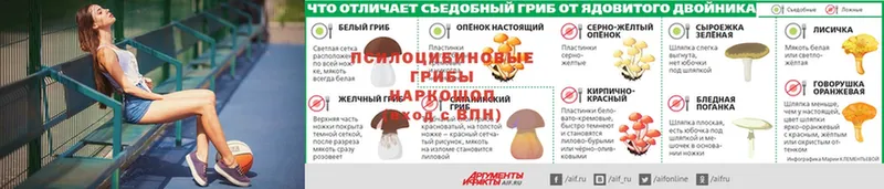 darknet формула  МЕГА маркетплейс  Сергач  цена наркотик  Псилоцибиновые грибы Psilocybine cubensis 